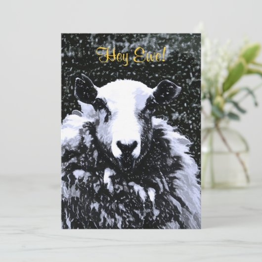 羊招待状 (スタンド正面)