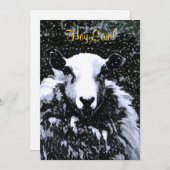 羊招待状 (正面/裏面)