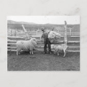 羊毛の束を持ち上げる少年 ポストカード (正面)