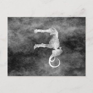 羊毛マンモス ポストカード