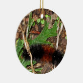 羊毛質くま幼虫-写真 セラミックオーナメント (右)