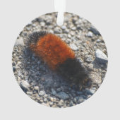 羊毛質くま オーナメント (裏面)