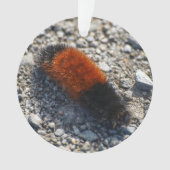 羊毛質くま オーナメント (正面)