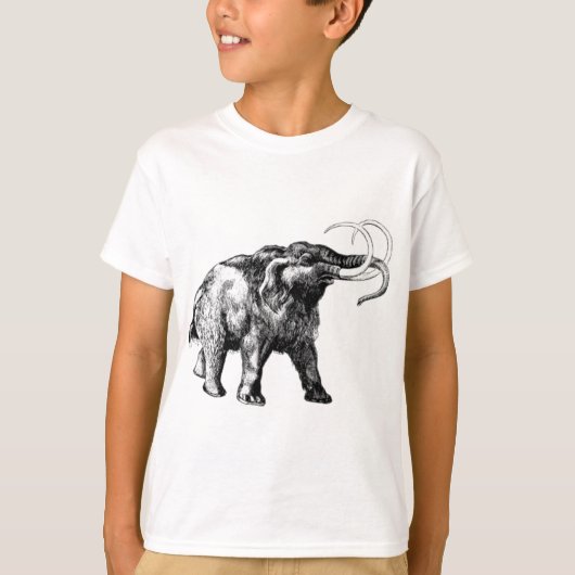 羊毛質巨大1 Tシャツ (正面)
