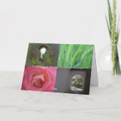 羊毛迷路:牧歌的なシーンで羊が放牧 カード (裏面)