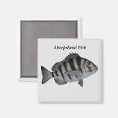 羊毛魚 マグネット (正面/裏面)