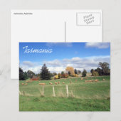 羊毛黄色性風化病 ポストカード (正面/裏面)