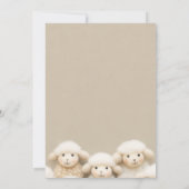 羊男女兼用赤ちゃんシャワー招待状 招待状 (裏面)