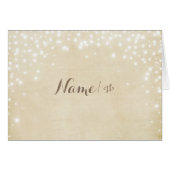 羊皮紙の輝き (正面横)