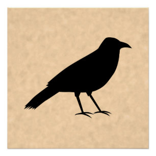羊皮紙パターンの黒いカラスの鳥 ポスター