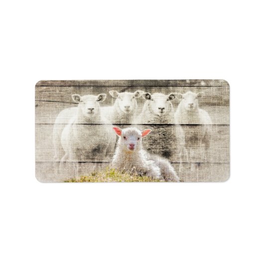 羊素朴ベビーラムバーラップ ラベル (正面)