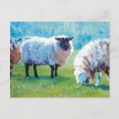 羊絵を描の夏の光 ポストカード (正面)