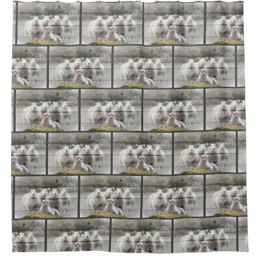 羊群ベビーラム シャワーカーテン (正面)