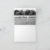 羊野写真動物ノートカード ノートカード (内部)