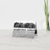 羊野写真動物ノートカード ノートカード (裏面)