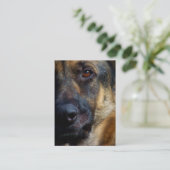 羊飼いの名刺の目 名刺 (スタンド正面)