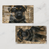 羊飼いの子犬の名刺 名刺 (正面/裏面)