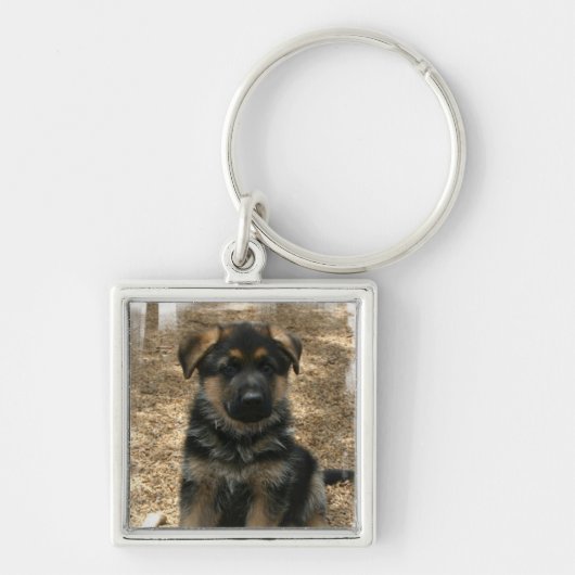 羊飼いの子犬Keychain キーホルダー (正面)