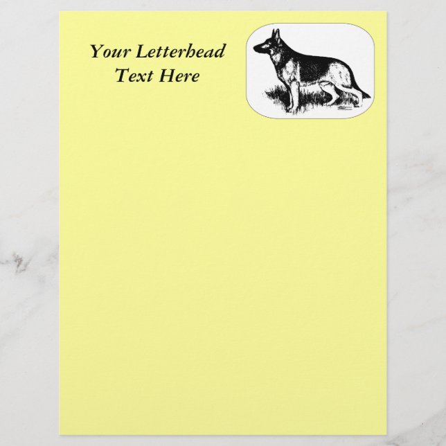 羊飼いプロフィール (正面)