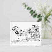 羊飼い犬と花を持つヤギのカート ポストカード (スタンド正面)