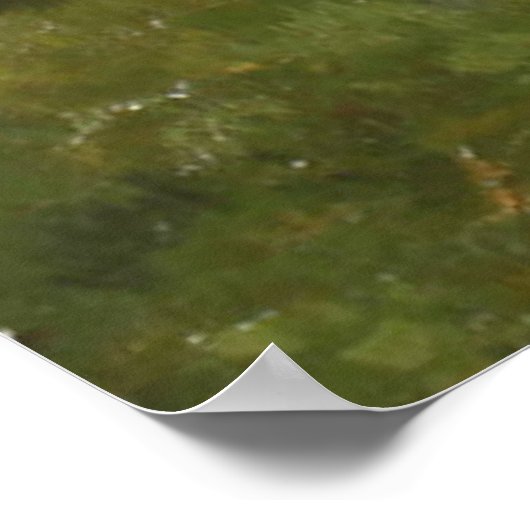 羊飼い農場 ポスター (角)