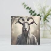 羊飼い 招待状 (スタンド正面)