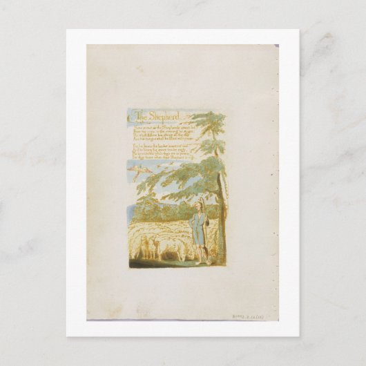 『羊飼い』、無垢の歌より第15版 ポストカード (正面)