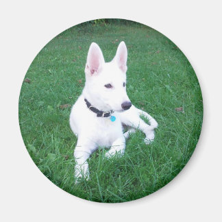 羊飼リラックスいの磁石 マグネット