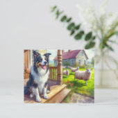 羊飼場とボーダーコリーのポストカード ポストカード (スタンド正面)