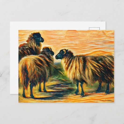 羊3頭 ポストカード (正面/裏面)