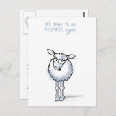 羊：また毛刈りの季節が来た！ ポストカード (正面/裏面)