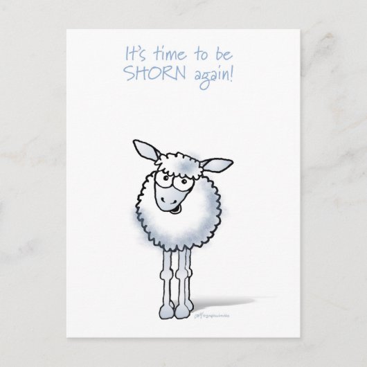 羊：また毛刈りの季節が来た！ ポストカード (正面)