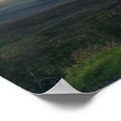 羊/アイルランド景観 ポスター (角)