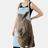 羊 エプロン (インサイチュ)