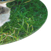 羊 カッティングボード (角)