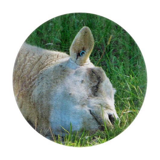 羊 カッティングボード (正面)