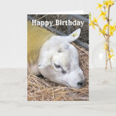 羊 カード (黄色い花)