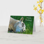 羊 カード (黄色い花)