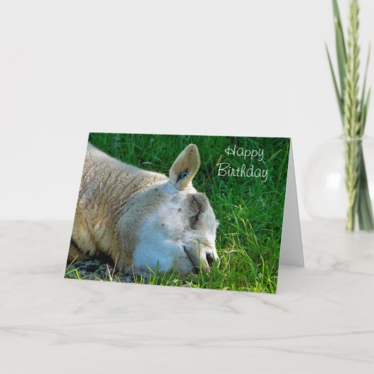 羊 カード (正面)