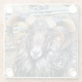 羊 ガラスコースター (裏面)