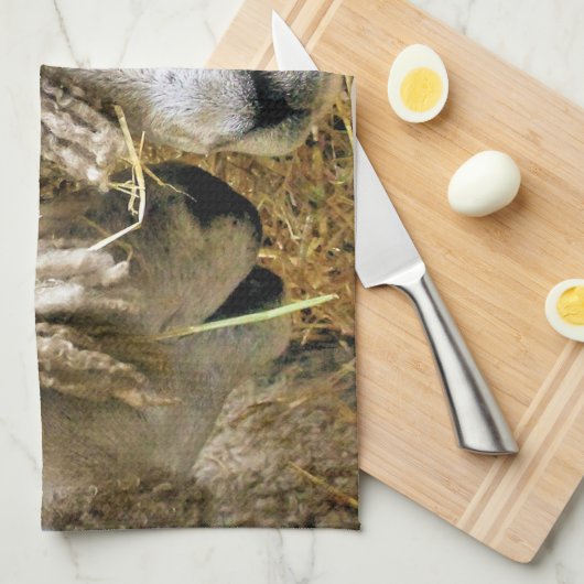 羊 キッチンタオル (四つ折り)