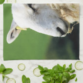 羊 キッチンタオル (折り畳み)