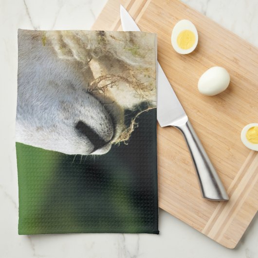 羊 キッチンタオル (四つ折り)