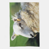 羊 キッチンタオル (縦)