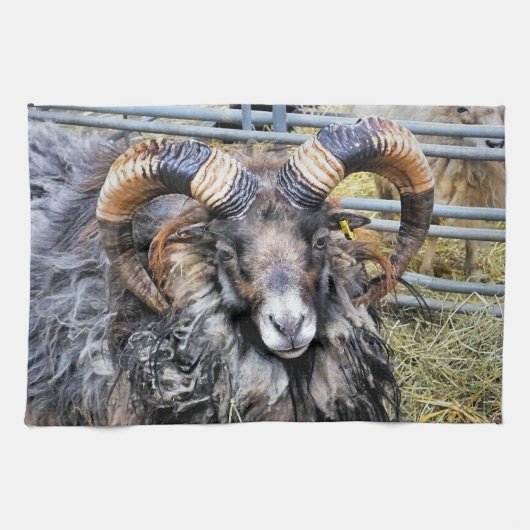 羊 キッチンタオル (横)