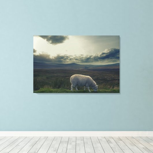 羊 キャンバスプリント (インサイチュ (ウッドフロア))