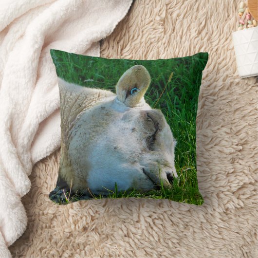 羊 クッション (ブランケット)