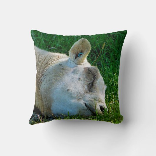 羊 クッション (裏面)