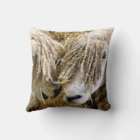 羊 クッション (裏面)