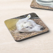 羊 コースター (左側)